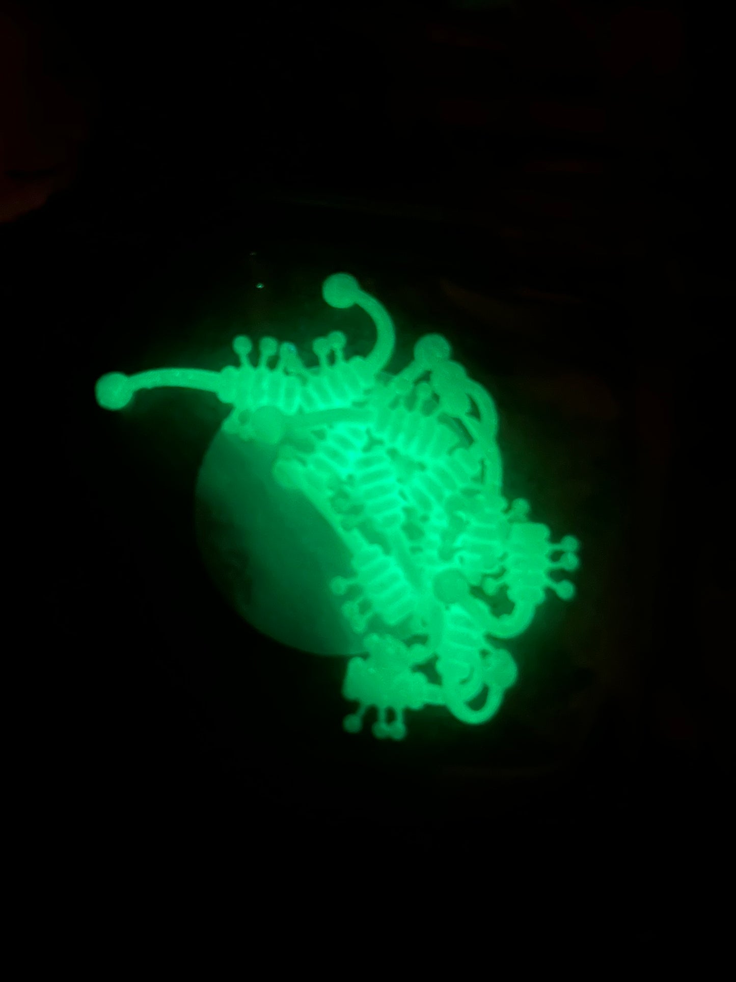 White Ice Scorpion (UV Glow)