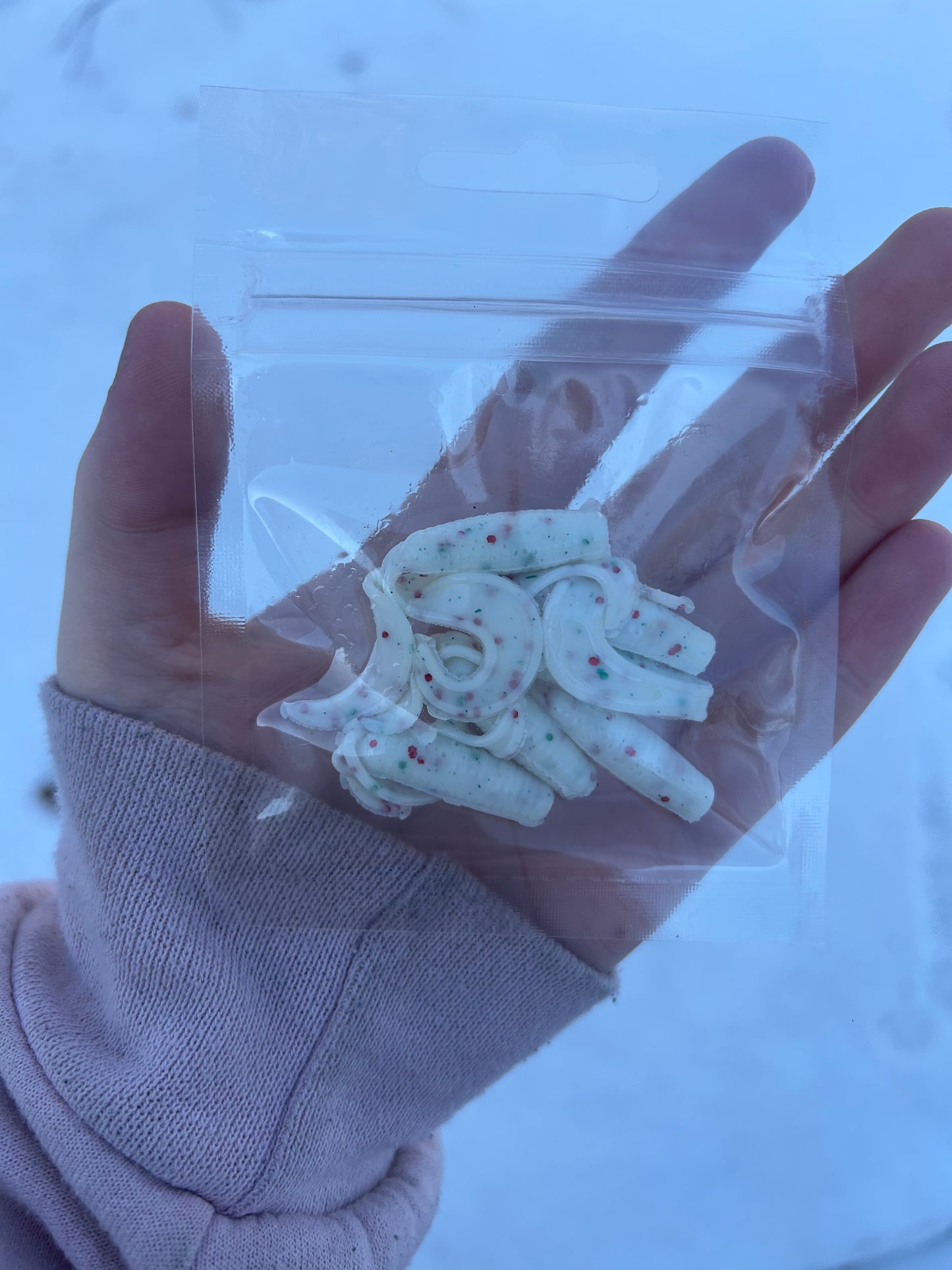 Mistletoe Curly Tail Grub