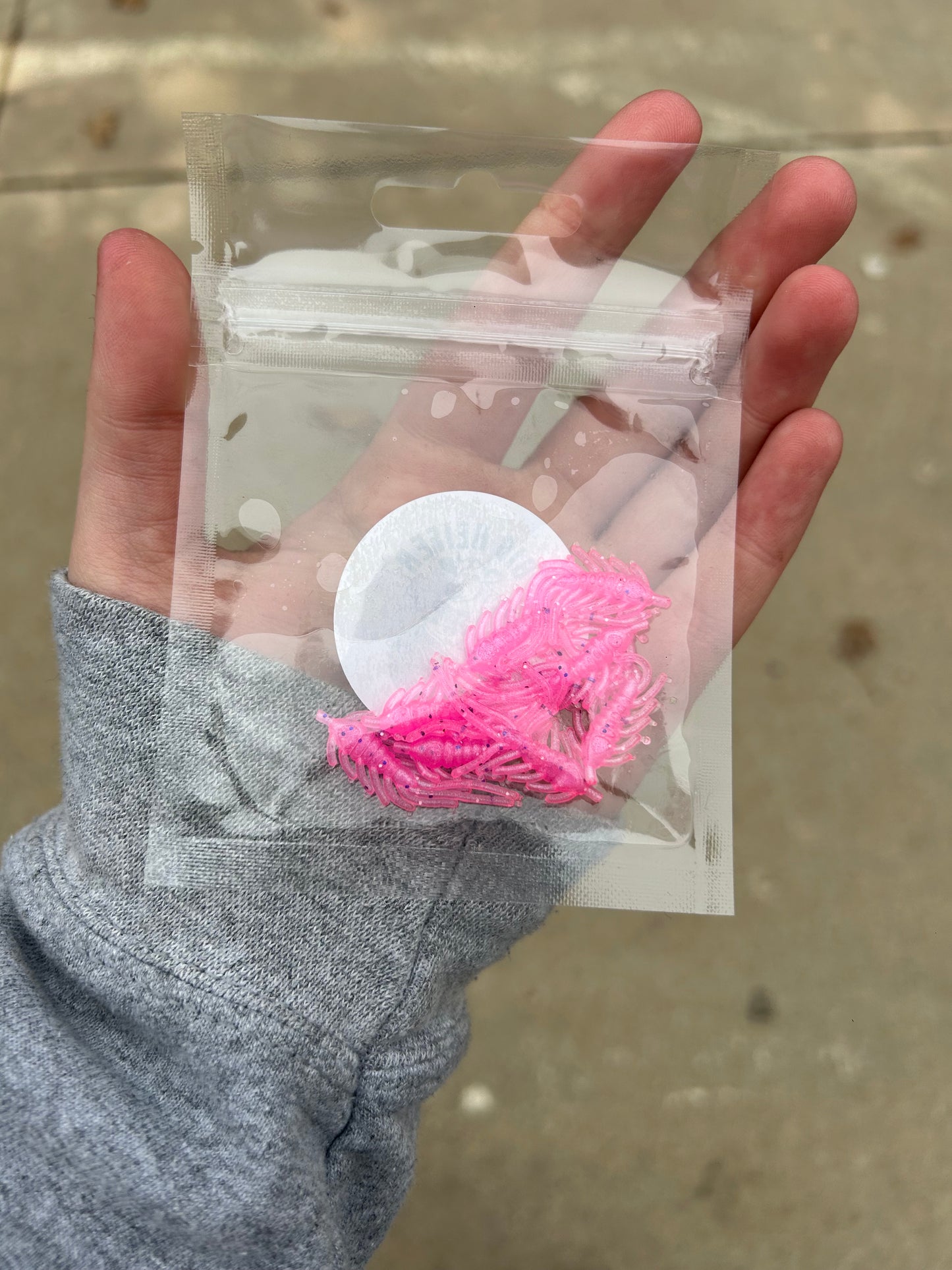 Fuchsia Flash Ice Flea