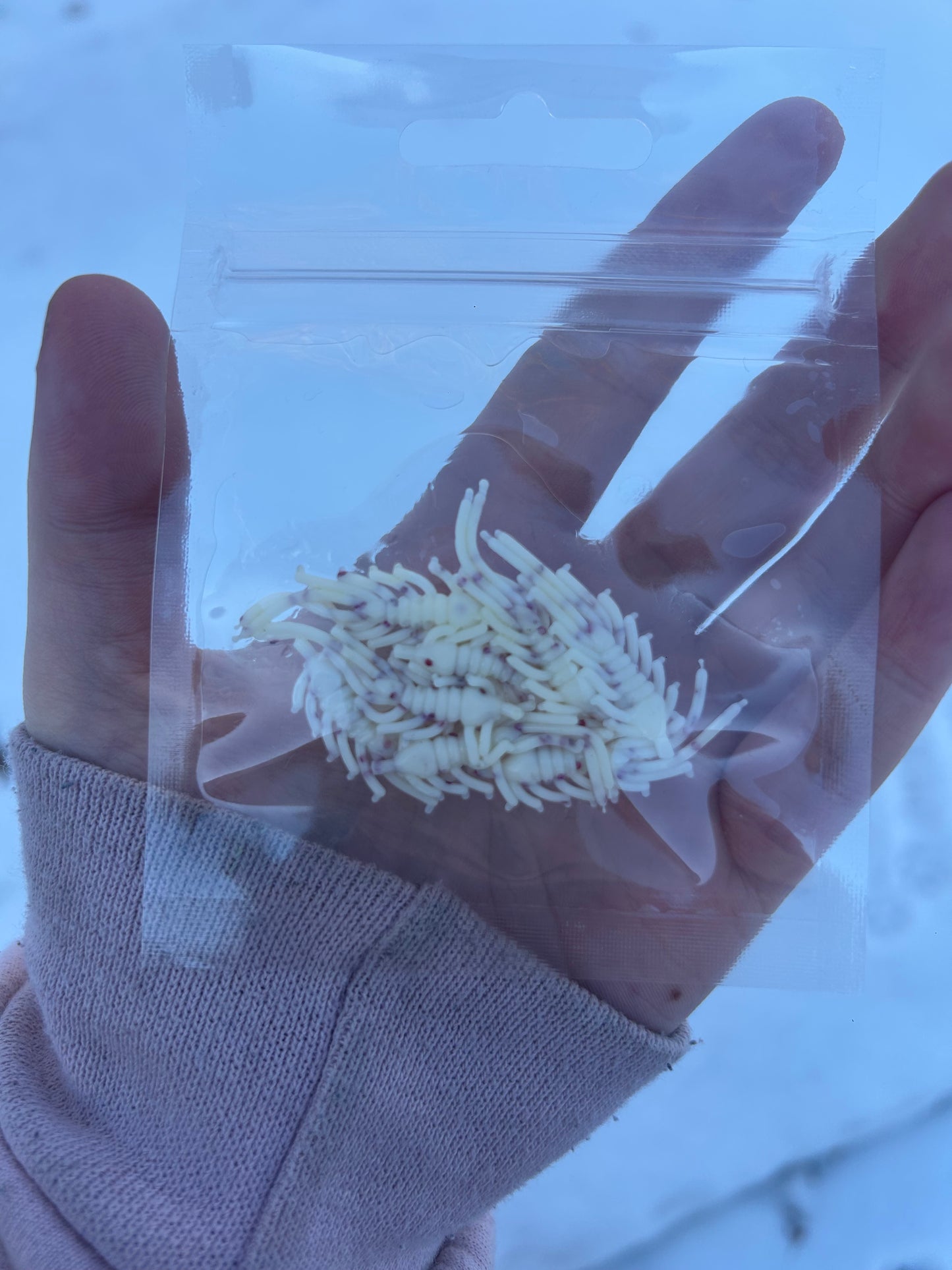 Crushed Candy Cane Ice Flea