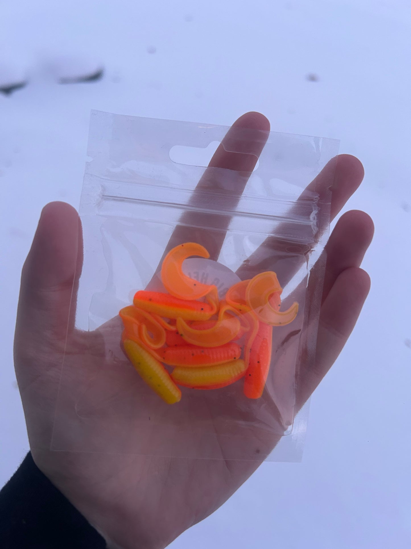 Fireplace Curly Tail Grub