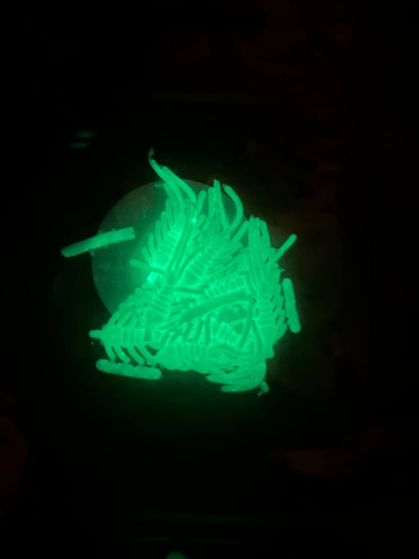 White Ice Flea (UV Glow)