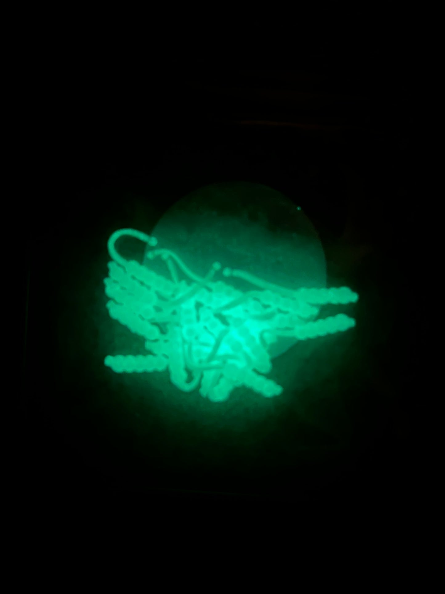 White Bubble Bait (UV Glow)