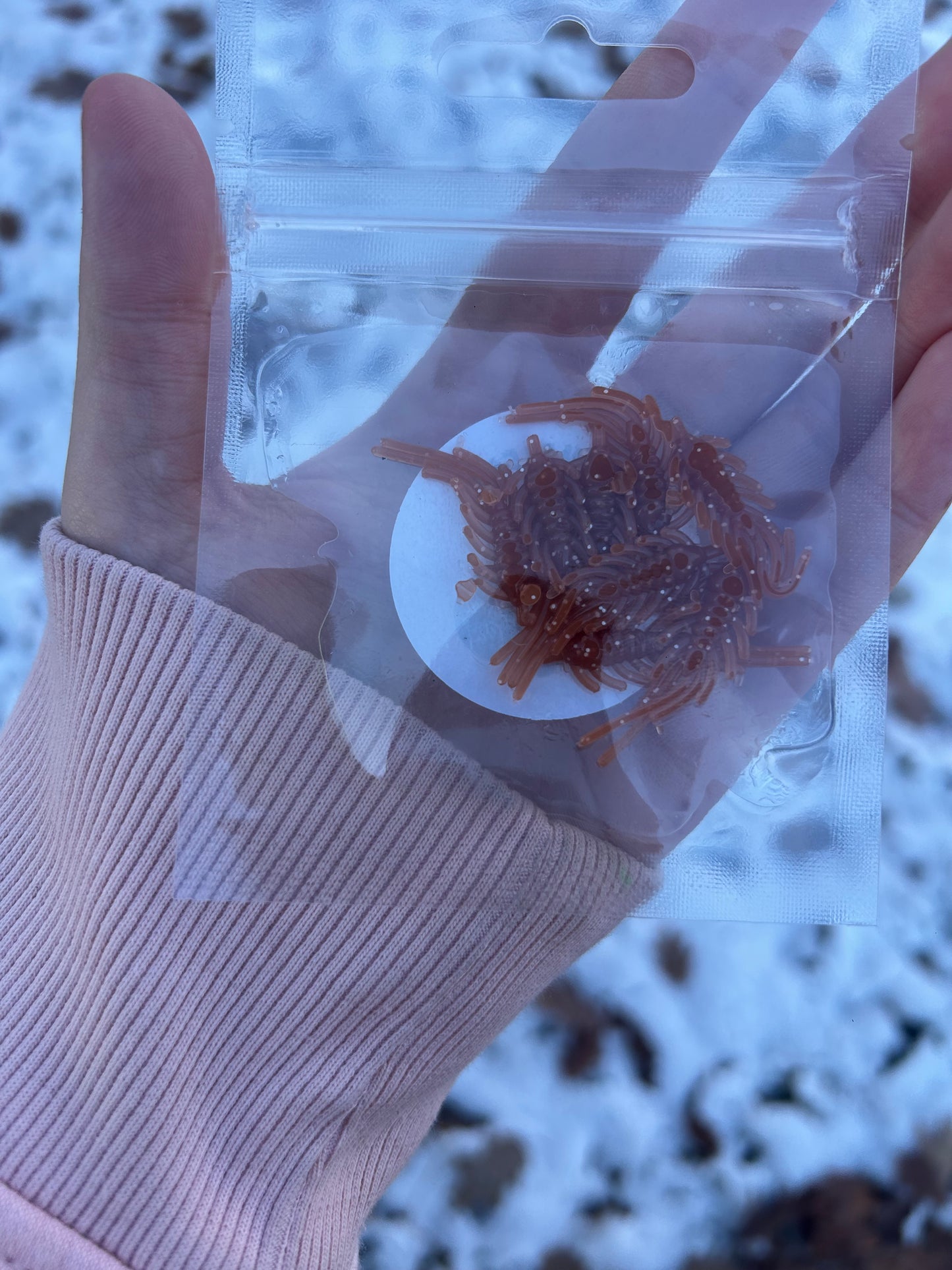 Gingerbread Ice Flea