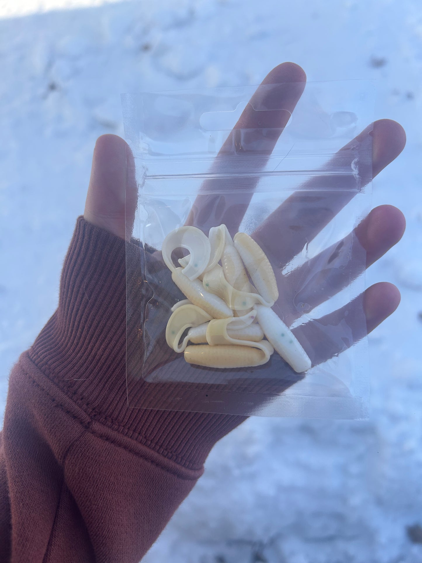 Sugar Cookie Curly Tail Grub