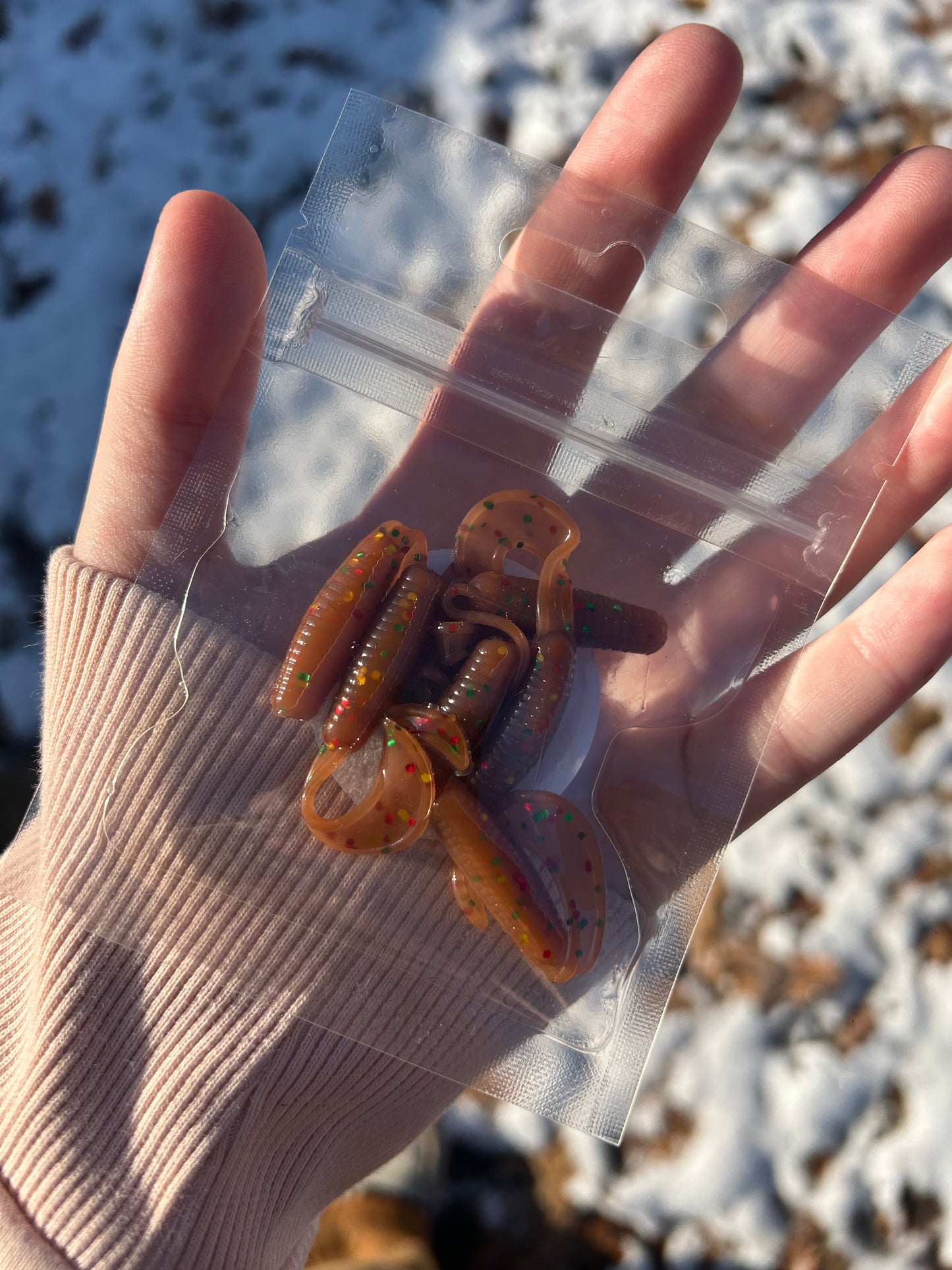 Fruit Cake Curly Tail Grub