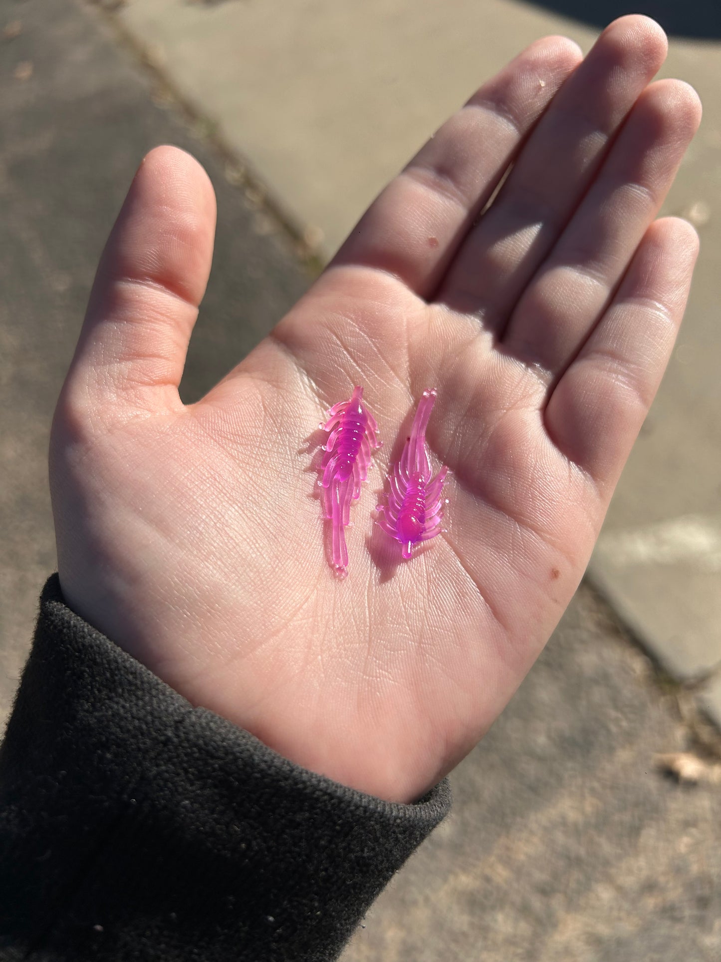 Morning Dawn Ice Flea