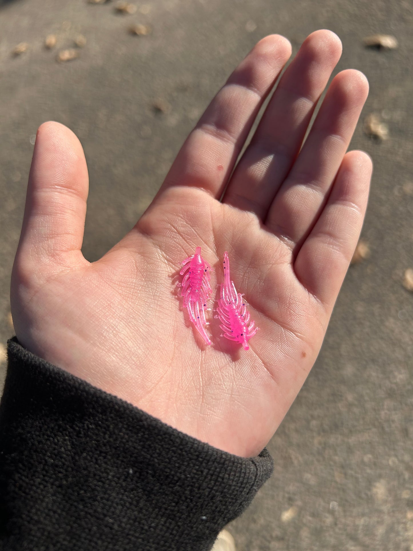 Fuchsia Flash Ice Flea