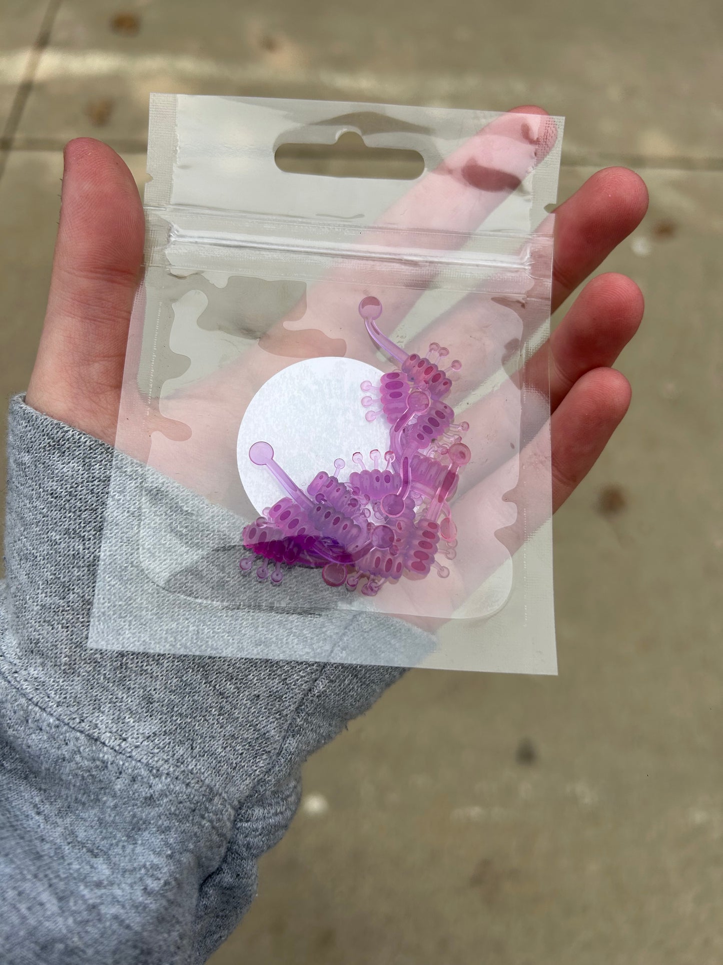 Morning Dawn Ice Scorpion