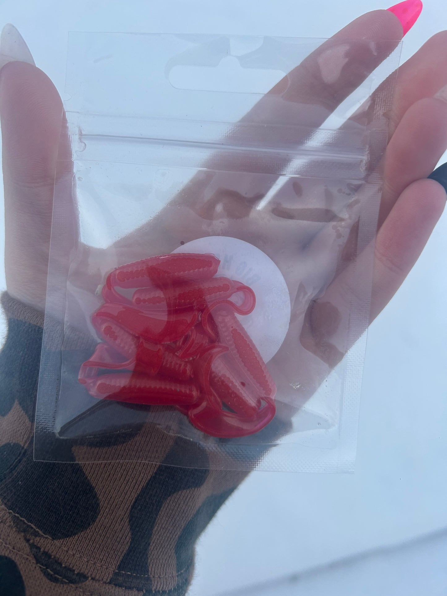 Holly Curly Tail Grub