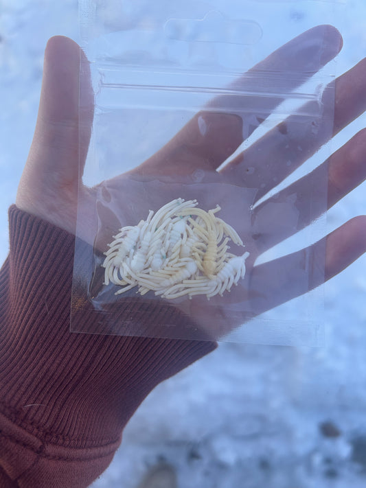 Sugar Cookie Ice Flea