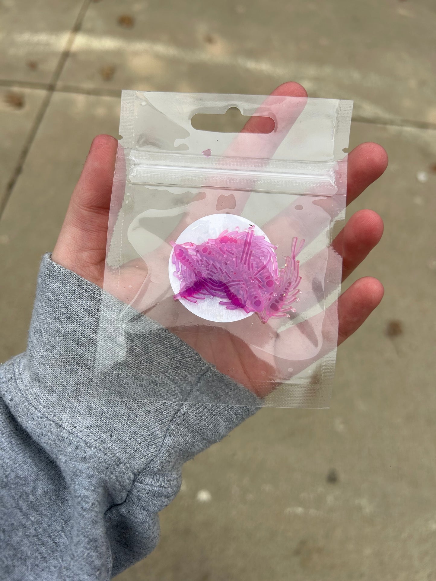 Morning Dawn Ice Flea