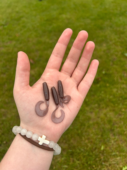 Chocolate Curly Tail Grub