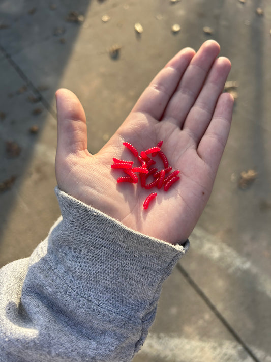 Red Wax Worms